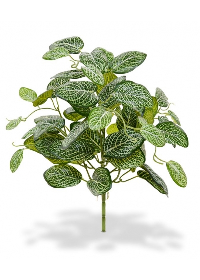 Fittonia Pianta Artificiale 40cm - Variegato