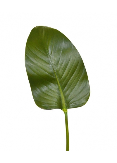 Foglia di Strelitzia Artificiale Deluxe 75 cm
