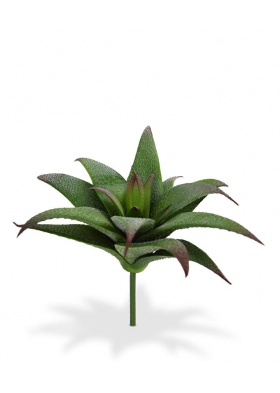 Haworthia Pianta grassa Artificiale