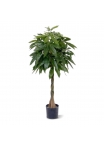 Pachira Artificiale Deluxe 120cm
