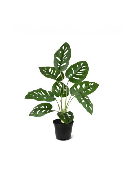 Monstera Adansonii Pianta Artificiale 40cm in vaso
