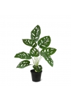 Monstera Adansonii Pianta Artificiale 40cm in vaso