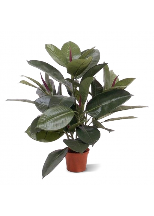 Philodendron Window Artificiale 50cm