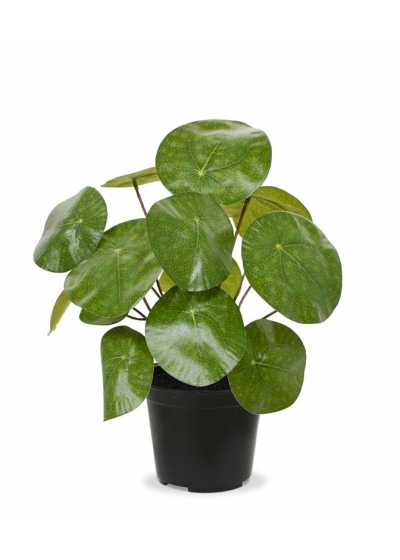 Pilea (Pianta delle monete) Artificiale 20cm