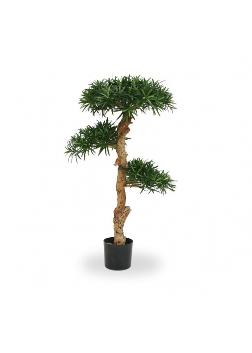 Podocarpus Bonsai Artificiale 120cm