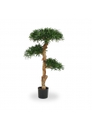 Podocarpus Bonsai Artificiale 120cm