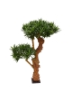 Podocarpus Bonsai Deluxe Pianta Artificiale 65cm - UV Resistente