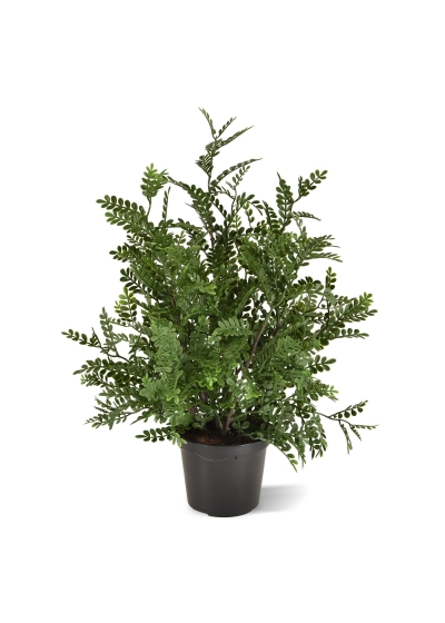 Robiniera Acacia Pianta Artificiale 40cm