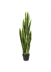 Sansevieria Pianta Artificiale 110cm - Variegato