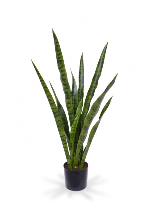 Sansevieria Pianta Artificiale 78cm