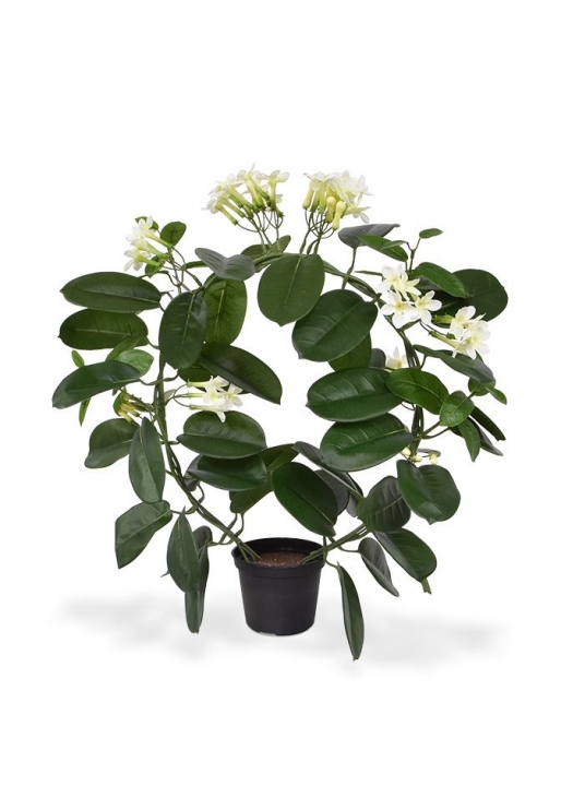 Stephanotis Pianta Artificiale 40cm