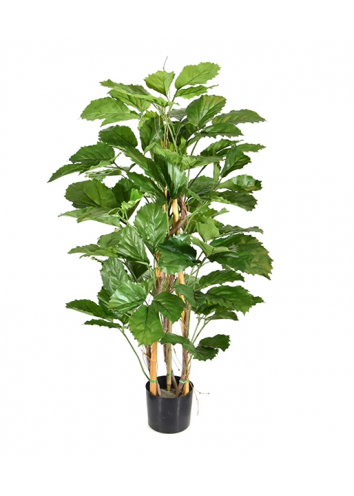 Tetrastigma Pianta Artificiale 120cm