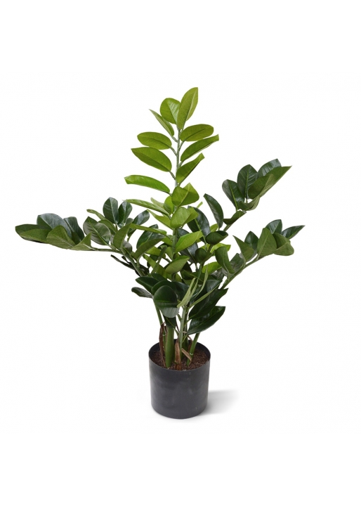 Zamioculcas Pianta Artificiale 55cm