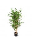 Bambù Giapponese Pianta Artificiale 120cm - UV Resistente