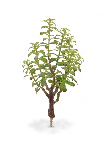 Crassula Bonsai Pianta Artificiale 40cm - Grigio