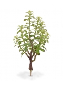 Crassula Bonsai Pianta Artificiale 40cm - Grigio