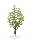 Crassula Bonsai Pianta Artificiale 40cm - Grigio