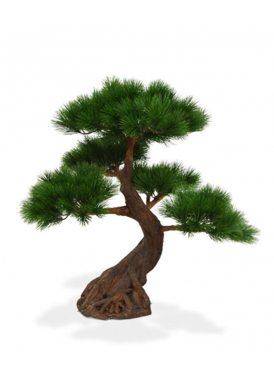 Pino Bonsai x5 Artificiale su base 80cm