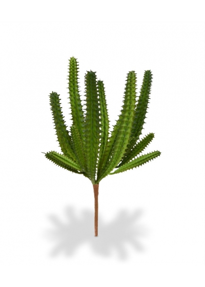 Euphorbia mini Cactus Artificiale 20cm