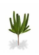 Euphorbia mini Cactus Artificiale 20cm