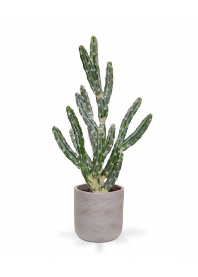 Tetragonus Cactus Pianta Artificiale 70cm - Verde