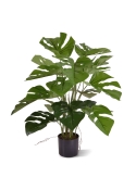 Monstera Pianta Artificiale 50cm