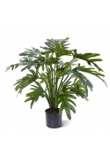 Philodendron Xanadu Artificiale 50cm