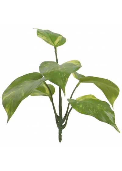 Pothos Pianta Artificiale Variegato 20cm