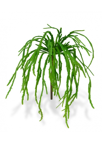 Rhipsalis Lepismium Pianta Artificiale 30cm