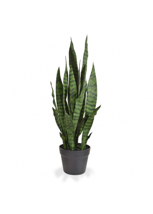 Sansevieria Pianta Artificiale N 70cm - Verde