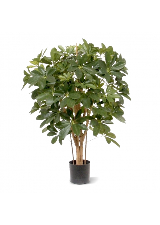 Schefflera Artificiale 80cm