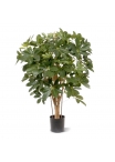 Schefflera Artificiale 80cm