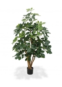 Schefflera Exotica Artificiale 120cm
