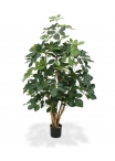 Schefflera Exotica Artificiale 120cm