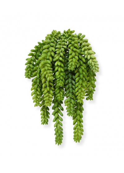 Sedum Donkey Tail Pianta Artificiale 30cm