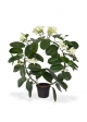 Stephanotis Pianta Artificiale 40cm
