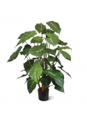 Syngonium Deluxe Pianta Artificiale 85cm