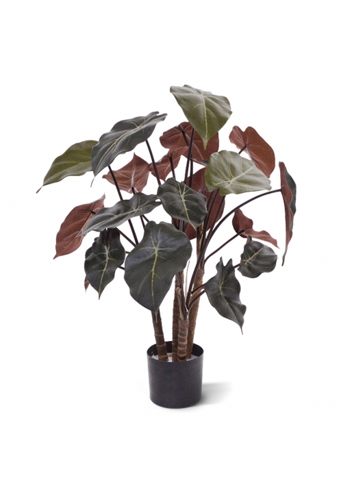 Syngonium Pianta Artificiale su legno 60cm