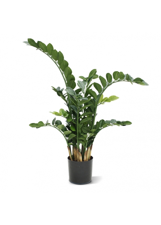 Zamioculcas Artificiale 100cm