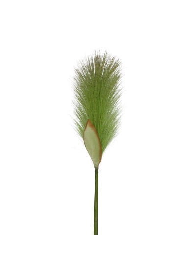 Erba Foxtail Artificiale 80cm - Verde