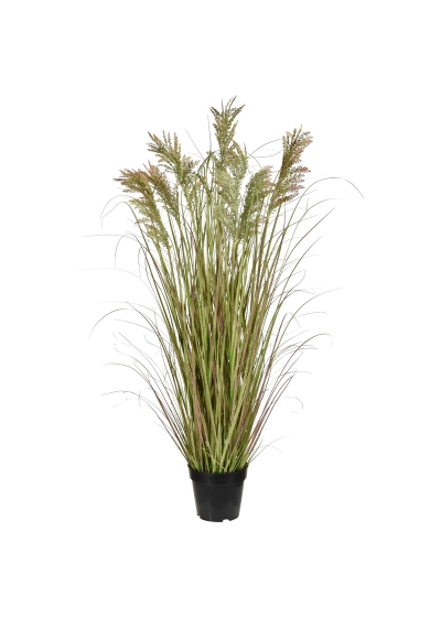 Pampas Pianta di Erba Artificiale 120cm