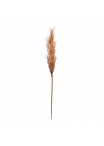 Pampas piuma Artificiale 80cm Rosa Rosa Salmone