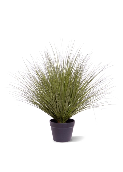 Pianta di Erba Artificiale 70cm Verde Scuro