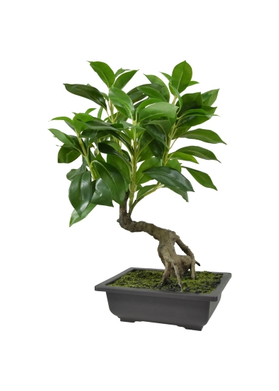 Ficus Bonsai Pianta Artificiale in ciotola 50cm