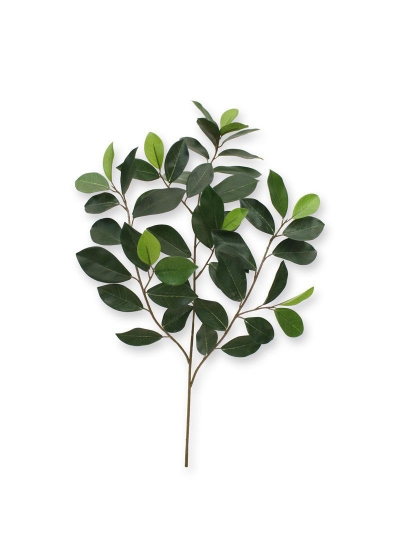 Ficus Compact Ramo x 52 Ignifugo