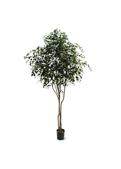 Ficus Exotica Albero Artificiale 330cm