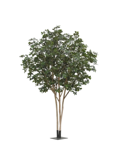Ficus Exotica Albero Artificiale Deluxe 300cm Verde
