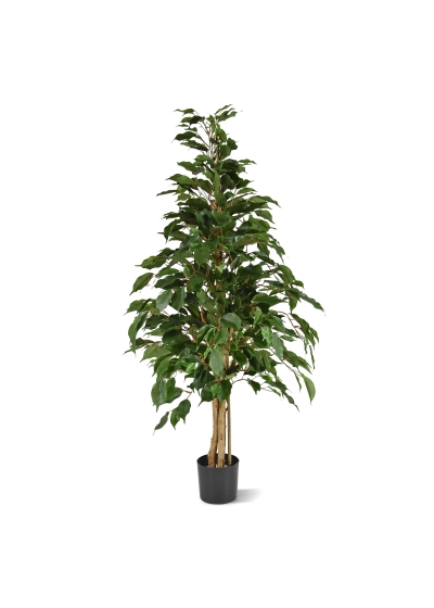 Ficus Exotica Artificiale 120cm - Verde