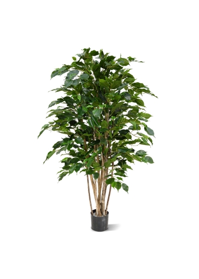 Ficus Exotica Deluxe Pianta Artificiale 125cm - Verde