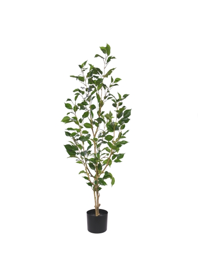 Ficus Exotica Pianta Artificiale NT 100cm